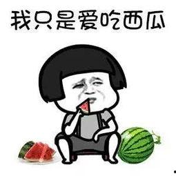 娱乐圈吃瓜动画片