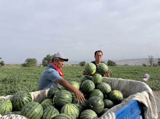 娱乐718.吃瓜王大炮